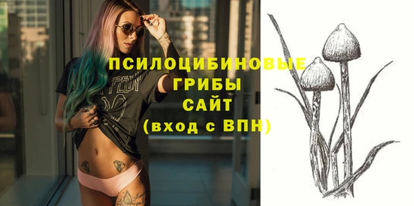 скорость Лагань