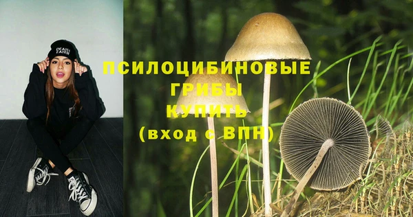 spice Ладушкин