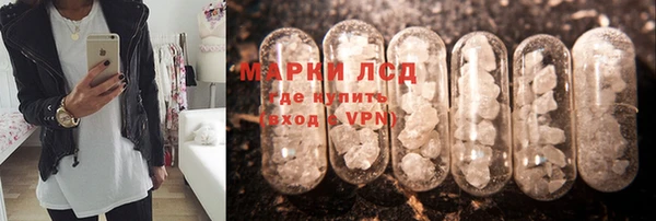 spice Ладушкин