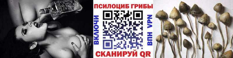 Галлюциногенные грибы GOLDEN TEACHER Купить где Окуловка